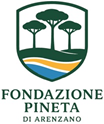 Logo Fondazione
